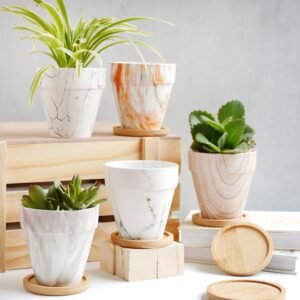 Ceramic Planters